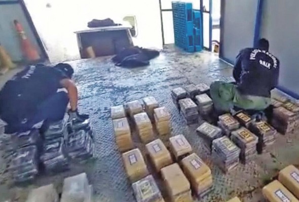 En la operación “Abedul”, las autoridades se incautaron de 643 paquetes rectangulares con presunta droga que tenía como destino Bélgica.
