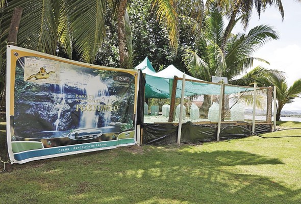 En 2021 se llevó a cabo la construcción de un vivero para la protección de nidos de tortugas marinas en &nbsp;un área cedida por la Universidad Tecnológica de Panamá, en&nbsp;Punta Chame.