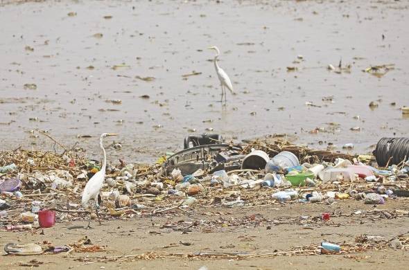 Uno de los principales problemas que enfrentan los océanos es la contaminación.