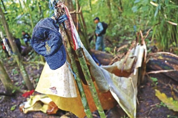 Restos de un campamento en el Parque Soberanía de donde se extrajo cocobolo. MiAmbiente no tiene datos sobre la cantidad de árboles en pie que hay en los bosques protegidos por ley.