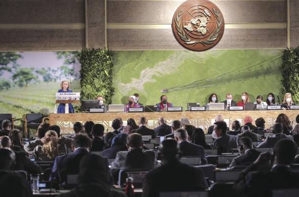 Reunión en Nairobi de la V Asamblea de la ONU para el Medioambiente (UNEA-5), principal organismo de toma de decisiones ambientales del mundo