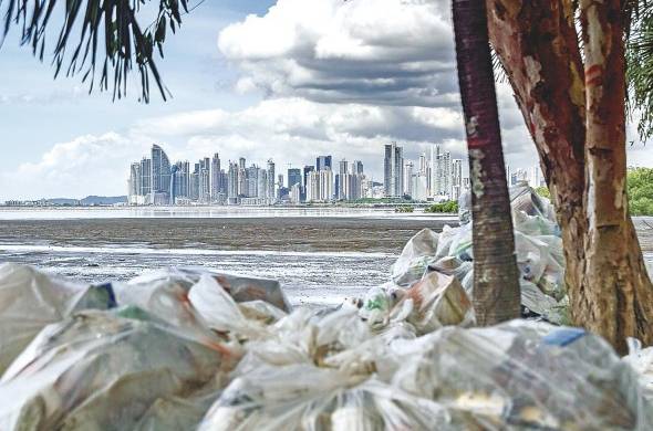Más de 150 mil bolsas de desechos son recolectadas en los manglares.