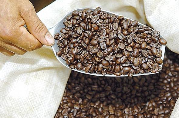 Las exportaciones de café presentaron una marcada volatilidad de -12,6%.