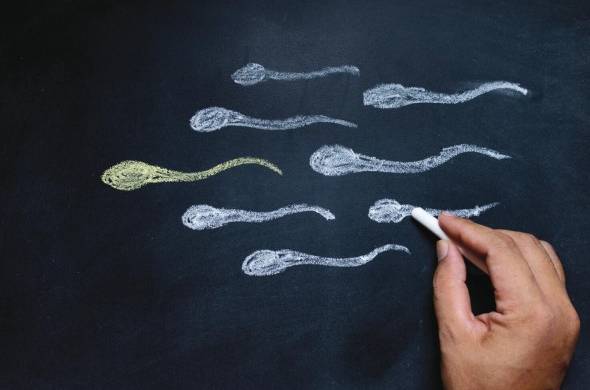 La OMS precisa que existen alrededor de 80 millones de individuos con problemas de infertilidad.