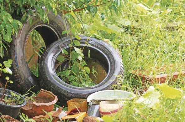Los neumáticos son reservorios de agua que ayudan a la proliferación del mosquito.