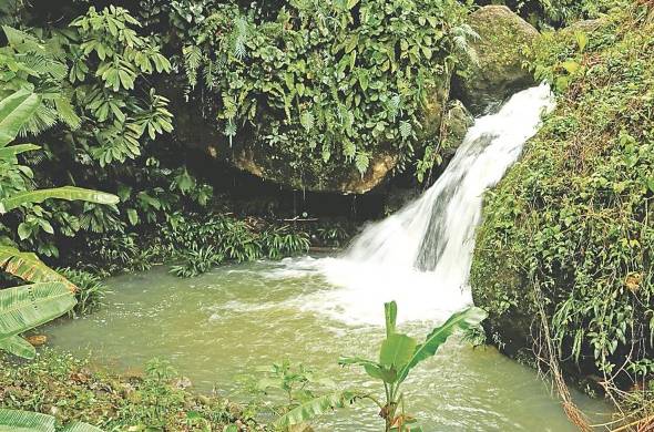 Los visitantes podrán disfrutar de una gran variedad de cascadas y ríos dentro de los parques.