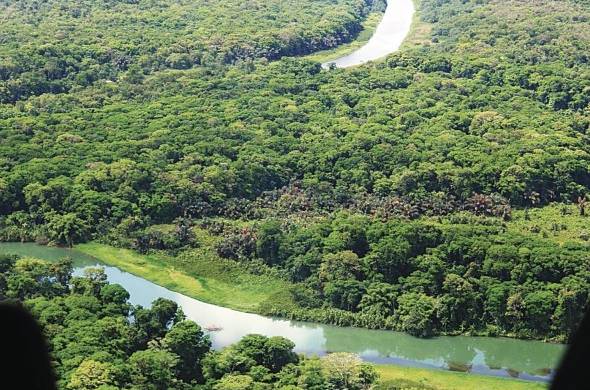 El país cuenta con 183,800 hectáreas de manglar, según el mapa de cobertura boscosa y de uso de la tierra de 2021