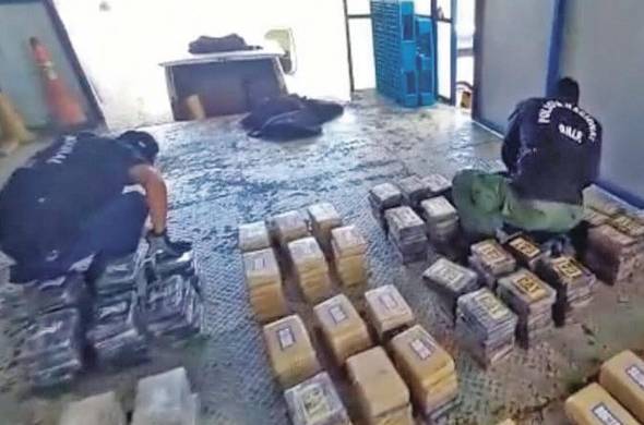 En la operación “Abedul”, las autoridades se incautaron de 643 paquetes rectangulares con presunta droga que tenía como destino Bélgica.