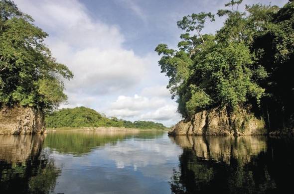 Se pueden apreciar desde bosques nubosos hasta secos, húmedos, y el lago Alajuela.