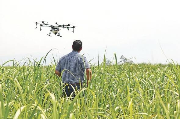Los drones son utilizados en la agricultura de precisión.
