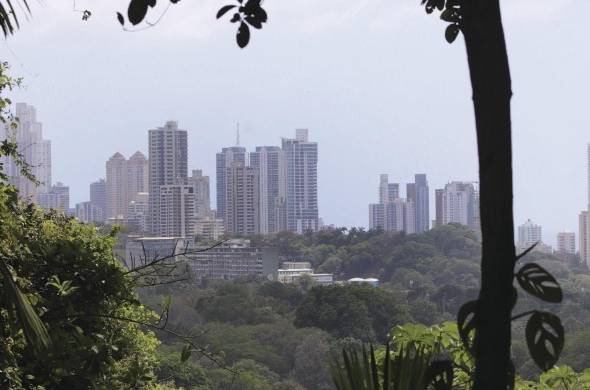 Vista de la Ciudad de Panamá desde el Parque Natural Metropolitano.