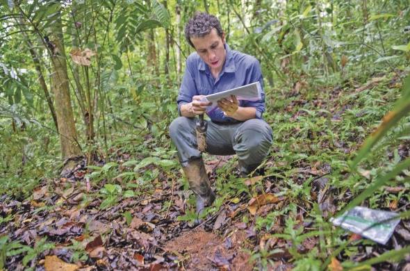 Camilo Zalamea recorre los senderos de la isla de Barro Colorado para recuperar semillas de especies que estudia para intentar entender la interacción entre ellas y los hongos.
