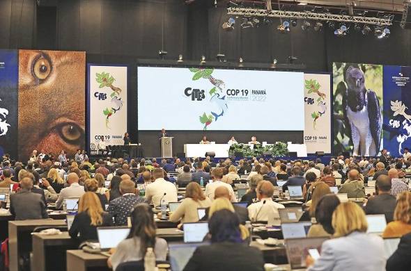 Reunión Cumbre de las Partes (COP19) de la Convención sobre el Comercio Internacional de Especies Amenazadas de Fauna y Flora Silvestres (Cites).