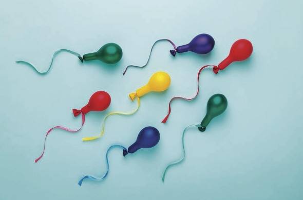 Los espermatozoides se regeneran cada 72 horas, lo que permite al hombre tener mayor producción de esperma de forma natural.