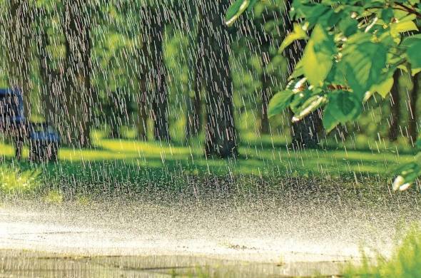 El termino lluvia, según la Real Academia de la Lengua Española, viene del latín pluvia que significa acción de llover