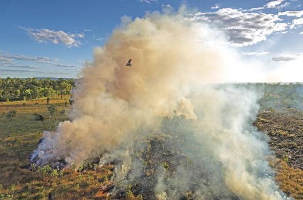 El trabajo fotográfico del fotoperiodista australiano Matthew Abbott reivindica una práctica milenaria y cultural de los indígenas australianos, que queman los arbustos de forma estratégica para salvar los bosques y controlar posibles incendios.