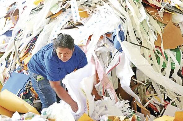 Grupos de recicladores base pueden apoyar el trabajo de recolección de desechos en la ciudad, y con una estructura establecida pueden mejorar su calidad de vida (foto ilustrativa).