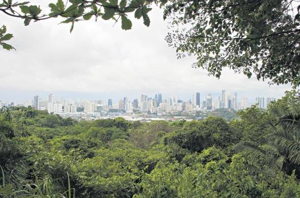 Vista de la ciudad de Panamá desde el Parque Natural Metropolitano