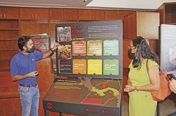 La exhibición está dedicada a las especies animales y vegetales que se encuentran amenazadas