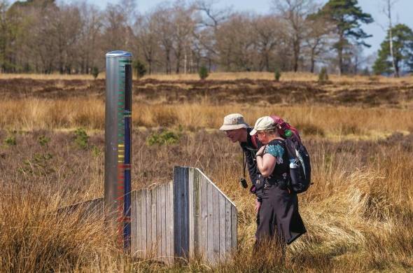 Sistema de medición del nivel de las aguas subterráneas en el parque natural Drents Friese Wold en las cercanías de Appelscha en Denthe Países Bajos