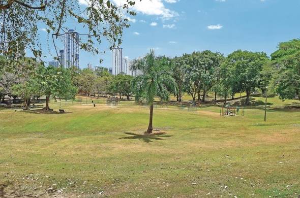 Alfaro señala que la OMS recomienda 10 a 15 metros de espacio abierto (parques) por habitante, y que “en Panamá tenemos dos y mal distribuidos”.