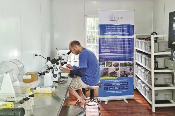 Los científicos pueden procesar y preservar muestras en el laboratorio de la isla.