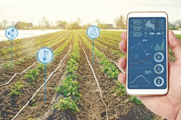 Digitalización en la agricultura: transformación inminente del sistema agroalimentario