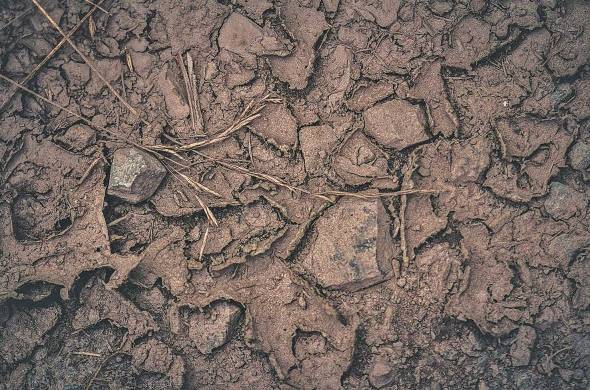 Cuando ocurre una sequía sus consecuencias están en relación inversa al grado de desarrollo social y económico de las zonas afectadas.