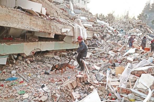 El reciente terremoto en Turquia ha dejado miles de muertos y heridos.
