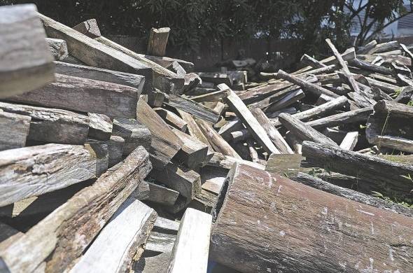 MiAmbiente ha decomisado más de 3 mil piezas (tucas y otros objetos) de cocobolo en los últimos dos años. Aún no se ha destinado un uso para esta madera.