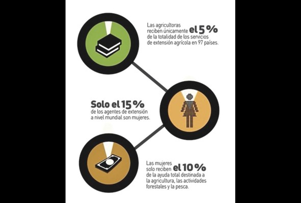 Las mujeres solo reciben el 10% del apoyo económico destinado a la actividad agrícola.