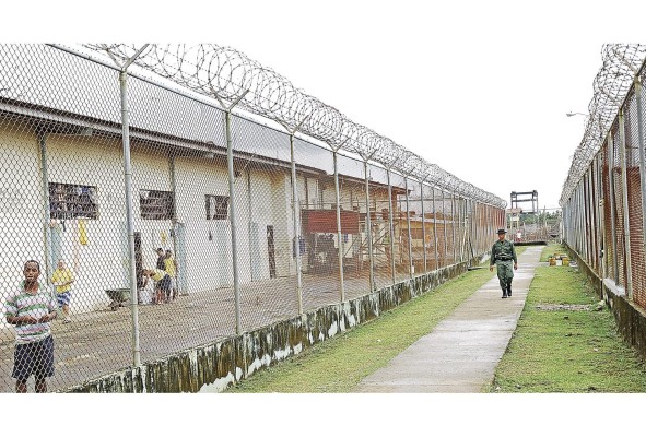Ejecutivo prepara reforma a Ley 55 que crearía policía especial