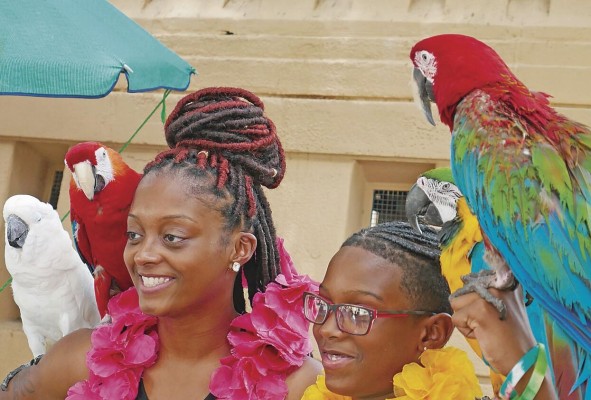 Puerto Rico, una oportunidad de turismo en el Caribe.