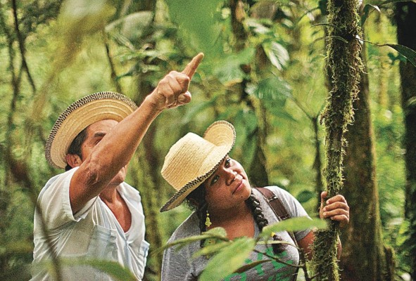 El turismo interno es parte e la nueva normalidad.