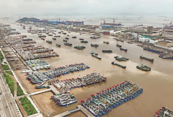 Cientos de barcos de pesca agrupados a la espera del paso del tifón Khanun, en el puerto de Shenjiamen (en la provincia de Zhejiang, este de China).