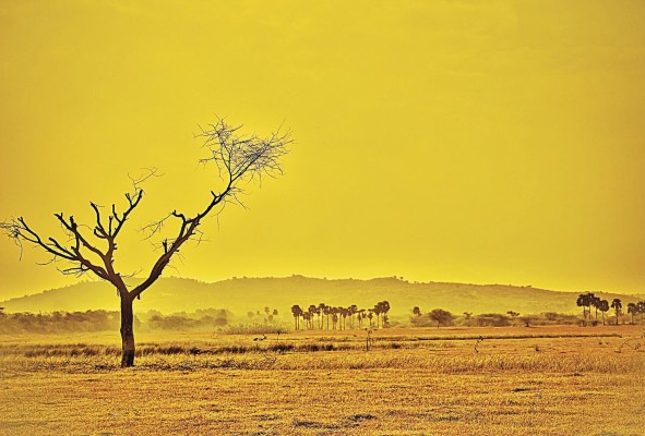 El calentamiento global es una realidad y es hora de tomar las acciones correctas.