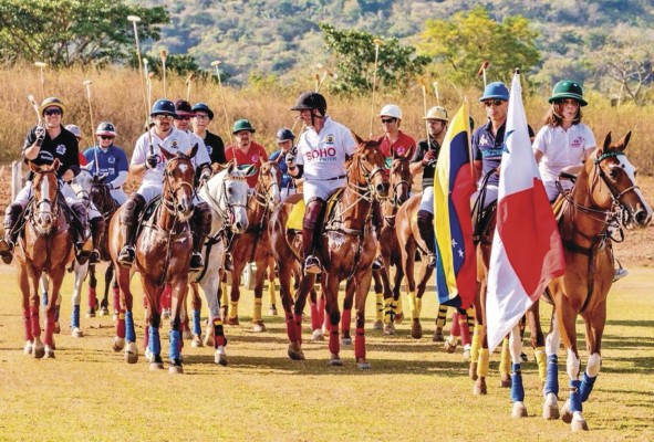 Los caballos pura sangre son los más utilizados en el polo nacional e internacional.