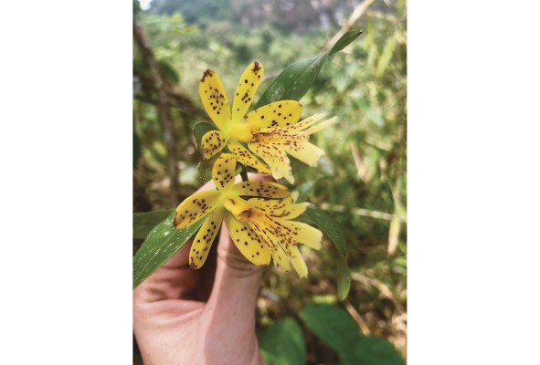 Cerro Trinidad, senderismo, aventura y fauna