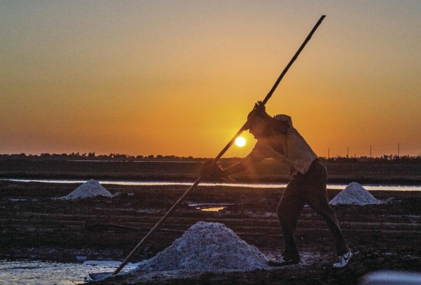 Las salinas que son varios cientos de hectáreas, se encuentran en la carretera hacia la playa de El Salao, al sur de Aguadulce, Coclé.