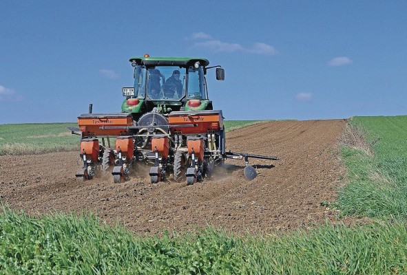 El cultivo de suelos frágiles es altamente nocivo.