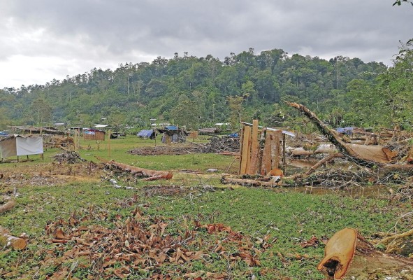 Toma de tierras en Bocas del Toro, un problema de vieja data que espera respuestas de las autoridades