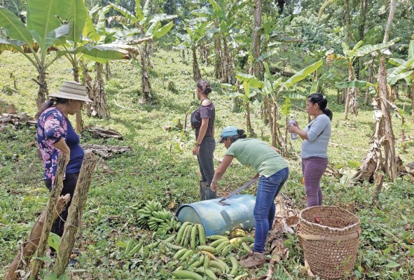Domitila recomienda a los jóvenes ponerle ganas al campo.