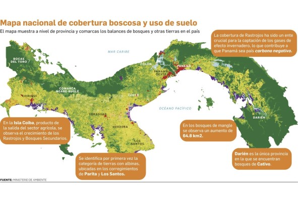 Una guía hacia el uso sostenible y eficiente de los recursos forestales del país