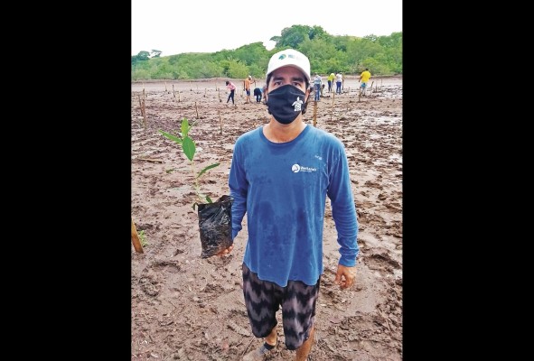 El hombre puede conservar y aprovechar sustentablemente los manglares.