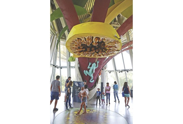 El Biomuseo en Amador celebra su primer fin de semana libre del año. Una excelente manera de aprovechar el tiempo libre de los jovencitos de la familia que están de vacaciones
