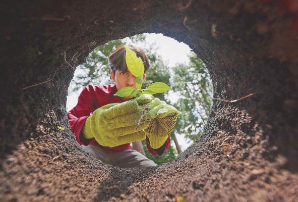 'Semilla del presente: planteando una promesa para un mundo más verde', primer lugar de la categoría niños y adolescentes en la ciencia