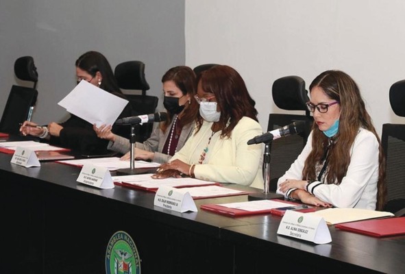 Comisión de la Niñez, la Mujer, la Juventud y la Familia, de la Asamblea Nacional