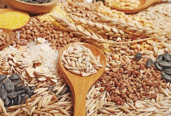 El trigo y otros cereales ucranianos tienen veto.