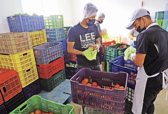 Trabajadores limpian los productos en el centro de acopio Donlap.