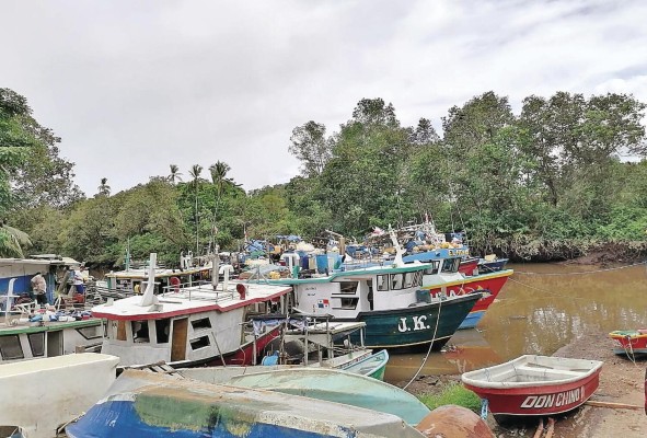 Los pescadores del Golfo de Chiriquí rechazan las prácticas agresivas de la organización.